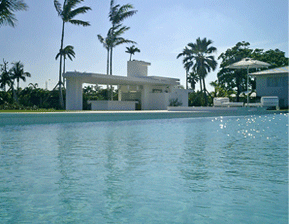 A mid-century modern look in Palm Beach, designed to be a dynamic, refreshing focal point. 